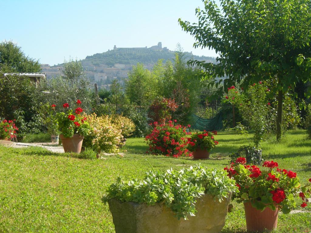 Bed and Breakfast Vista Assisi Exteriér fotografie
